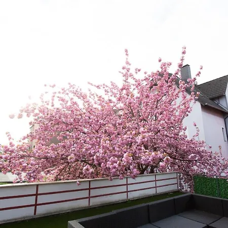 Hotell Am Sportpark Duisburg